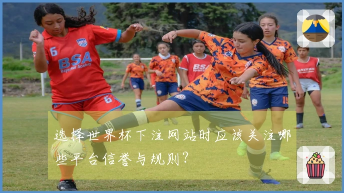 选择世界杯下注网站时应该关注哪些平台信誉与规则？