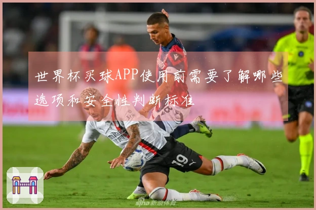 世界杯买球APP使用前需要了解哪些选项和安全性判断标准