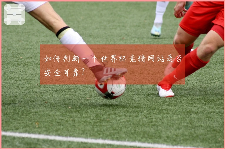 如何判断一个世界杯竞猜网站是否安全可靠？