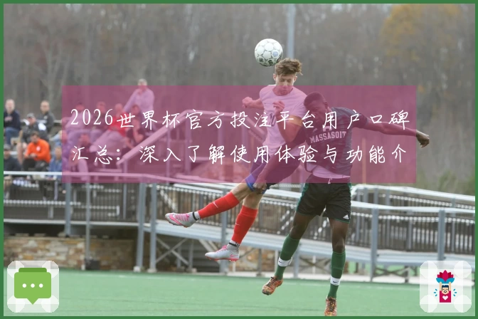 2026世界杯官方投注平台用户口碑汇总：深入了解使用体验与功能介绍