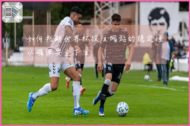 如何判断世界杯投注网站的稳定性以确保安全下注