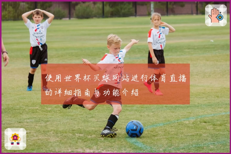 使用世界杯买球网站进行体育直播的详细指南与功能介绍