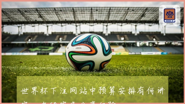 世界杯下注网站中预算安排有何讲究，老玩家来分享经验