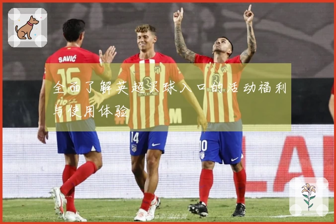 全面了解英超买球入口的活动福利与使用体验